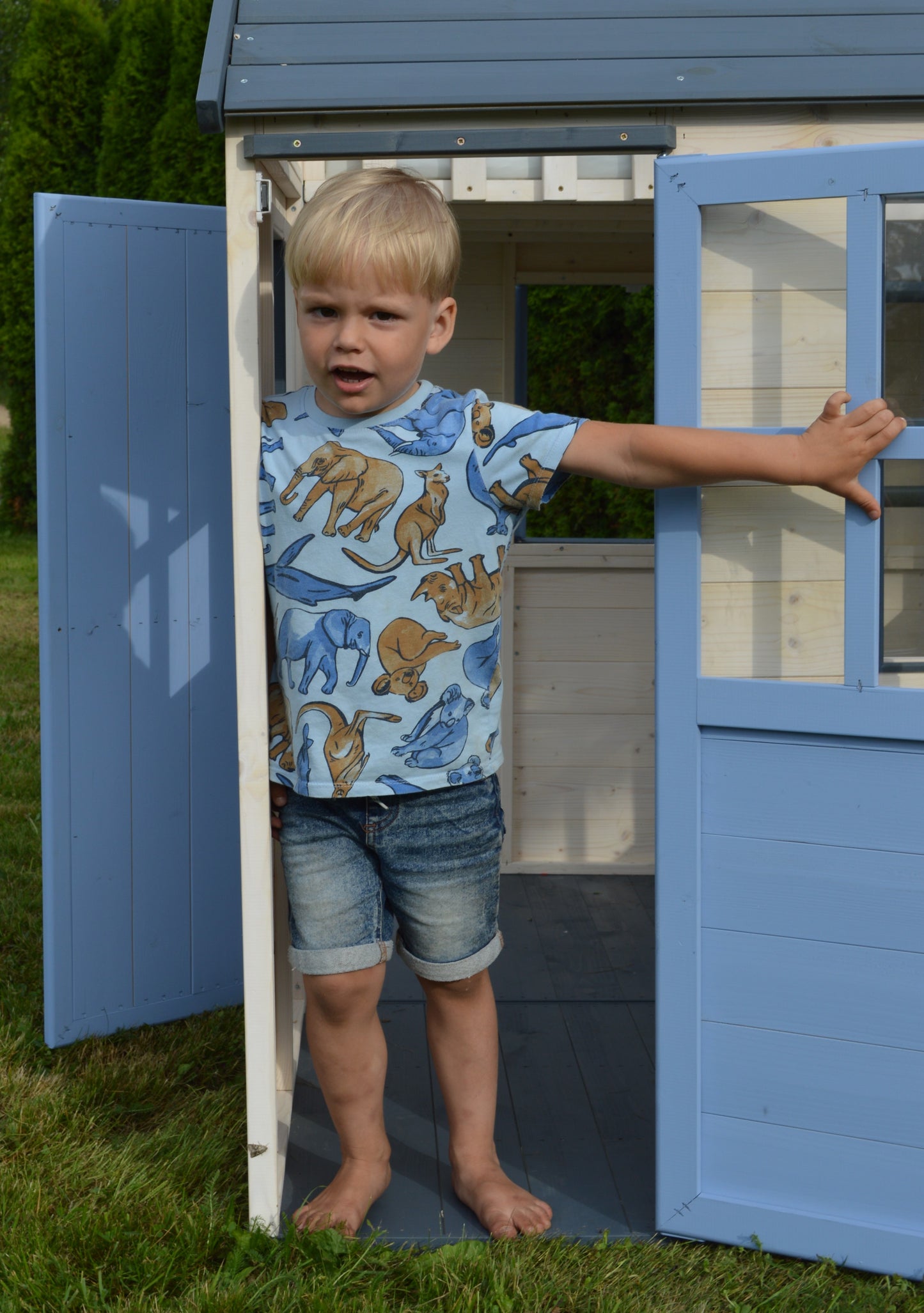 M33 Playhouse "The Castle"